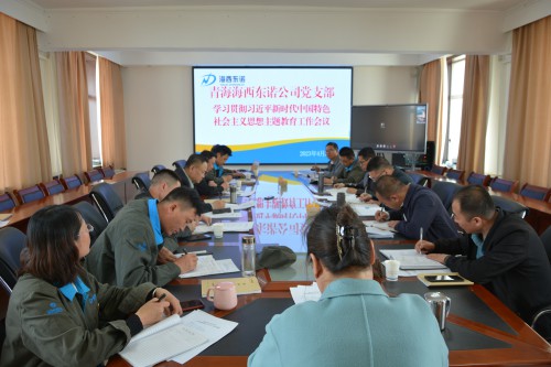 格式工廠青海海西東諾化工有限公司召開學(xué)習(xí)貫徹習(xí)近平新時(shí)代中國(guó)特色社會(huì)主義思想主題教育工作會(huì)議現(xiàn)場(chǎng).jpg