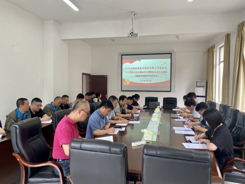 格式工廠龍巖分公�?吳瑤+海峽科化公司黨委委員、紀(jì)委書記何浦寨帶隊(duì)到龍巖分公司開展主題教育工作督�?.jpg